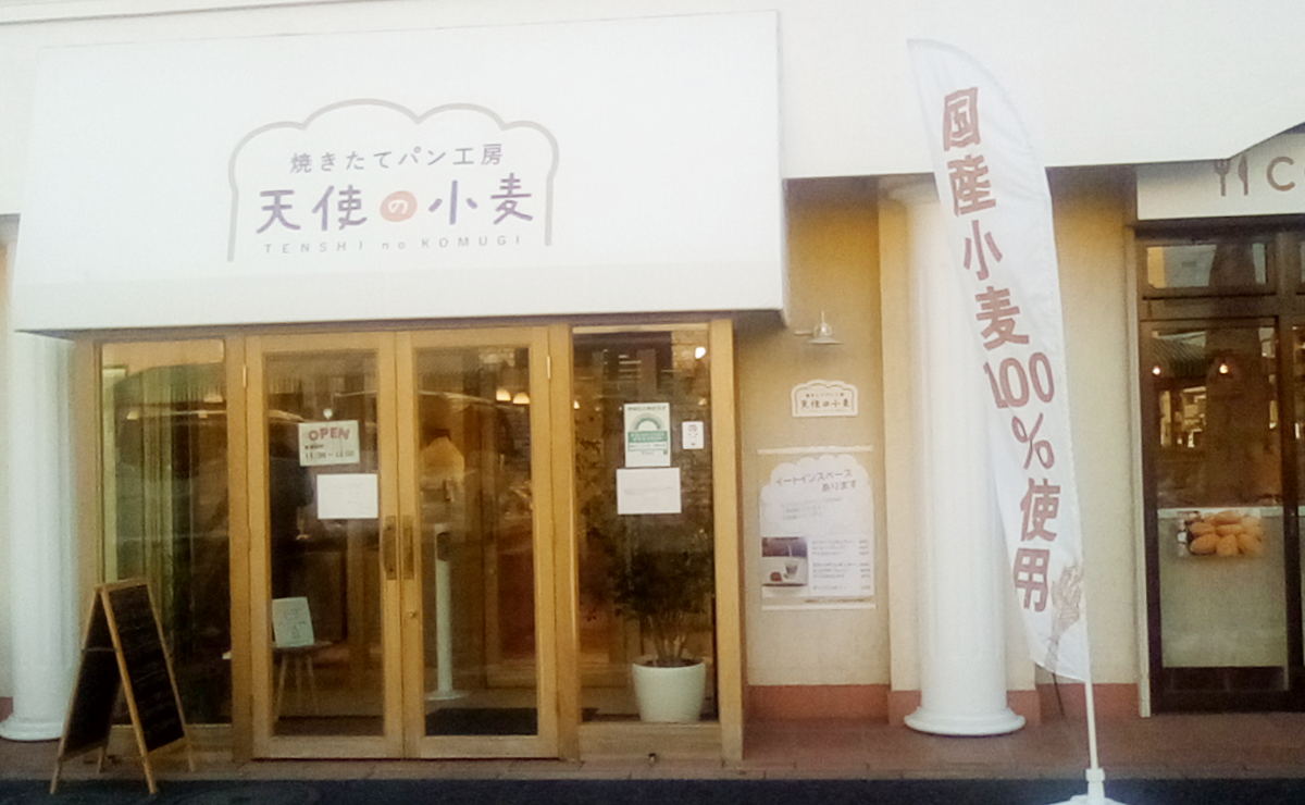 天使の小麦