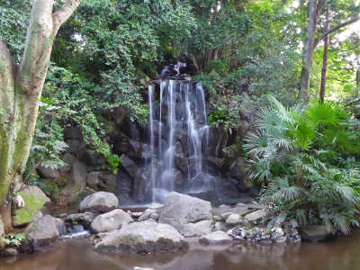 花風景１