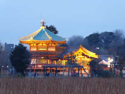 花風景２